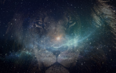 Episode 142: FYLF – Breaking Down the 8/8 Lions Gate Portal