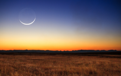 Episode 162: FYLF – Creating a New Moon Vision Board