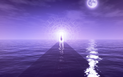 Episode 229: FYLF- Breaking Down the 5-5-5 Portal