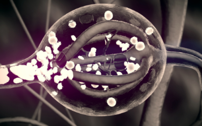 Episode 223: FYLF- Microcrystals in the Pineal Gland