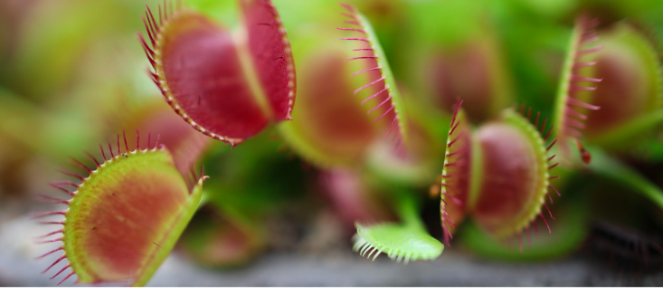 The Comparison Trap: Why Measuring Your Life Against Theirs Keeps You Stuck in Lack